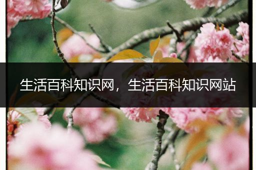 生活百科知识网，生活百科知识网站