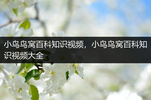 小鸟鸟窝百科知识视频，小鸟鸟窝百科知识视频大全