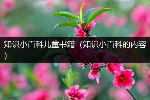 知识小百科儿童书籍（知识小百科的内容）