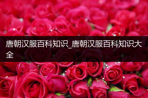 唐朝汉服百科知识_唐朝汉服百科知识大全