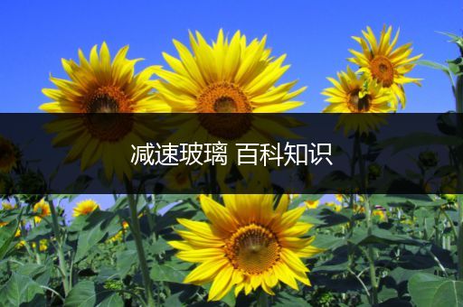 减速玻璃 百科知识