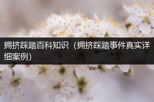 拥挤踩踏百科知识（拥挤踩踏事件真实详细案例）