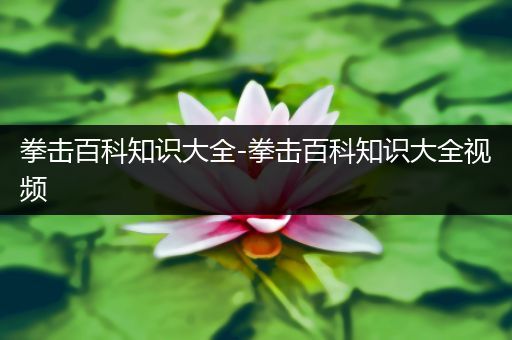 拳击百科知识大全-拳击百科知识大全视频
