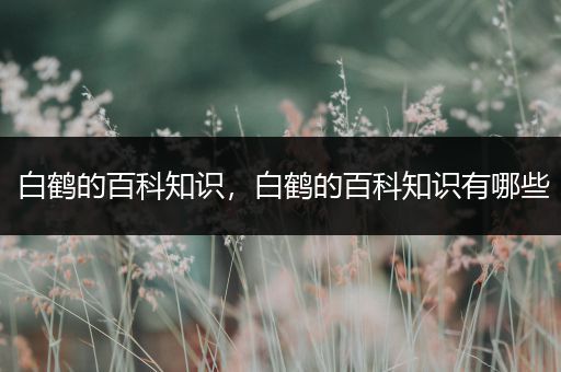 白鹤的百科知识，白鹤的百科知识有哪些