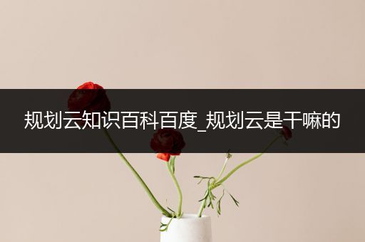 规划云知识百科百度_规划云是干嘛的