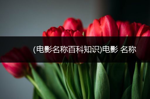 （电影名称百科知识)电影 名称