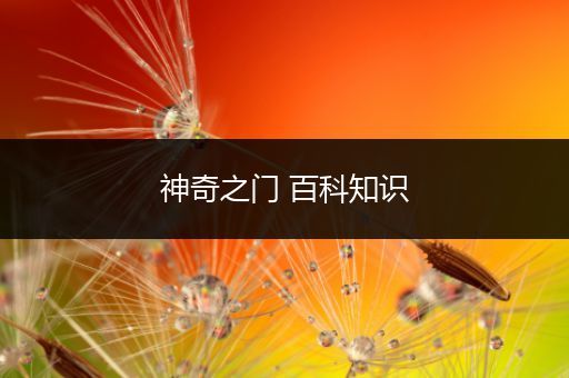 神奇之门 百科知识