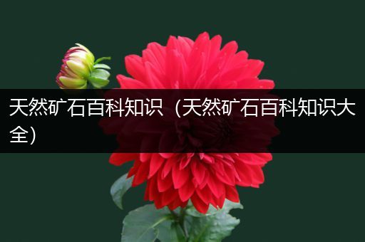 天然矿石百科知识（天然矿石百科知识大全）