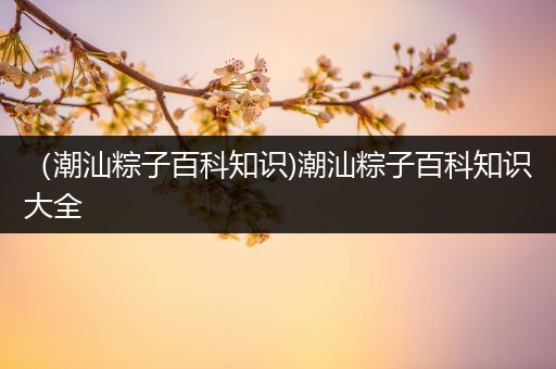 （潮汕粽子百科知识)潮汕粽子百科知识大全