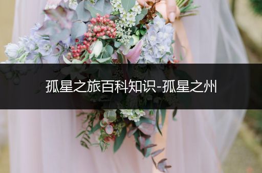 孤星之旅百科知识-孤星之州