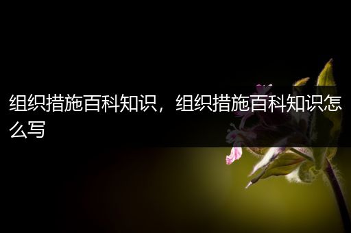 组织措施百科知识，组织措施百科知识怎么写