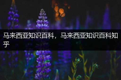 马来西亚知识百科，马来西亚知识百科知乎