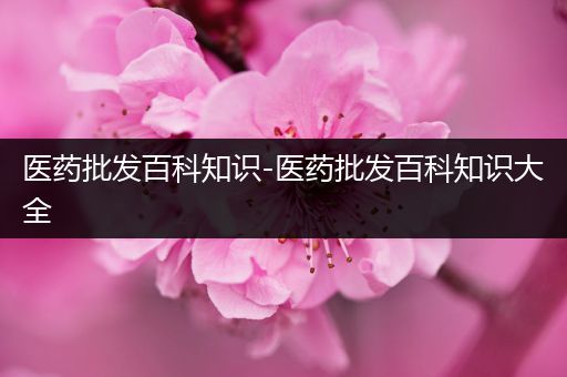医药批发百科知识-医药批发百科知识大全