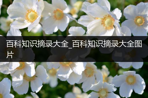 百科知识摘录大全_百科知识摘录大全图片