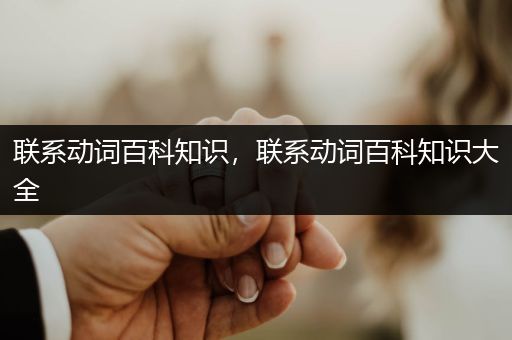 联系动词百科知识，联系动词百科知识大全