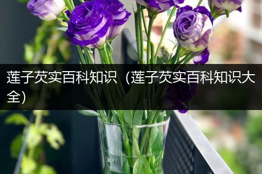 莲子芡实百科知识（莲子芡实百科知识大全）