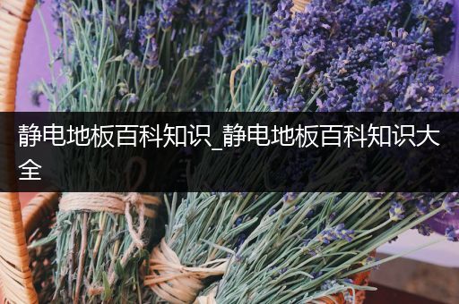 静电地板百科知识_静电地板百科知识大全