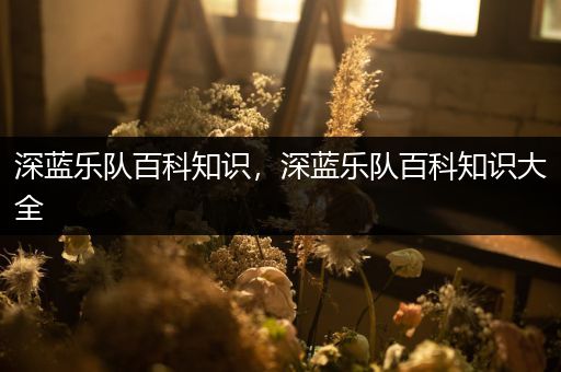 深蓝乐队百科知识，深蓝乐队百科知识大全