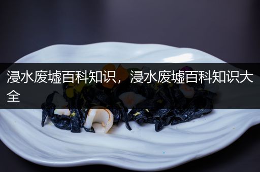 浸水废墟百科知识，浸水废墟百科知识大全