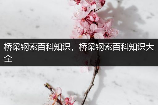 桥梁钢索百科知识，桥梁钢索百科知识大全