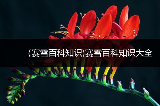 （赛雪百科知识)赛雪百科知识大全