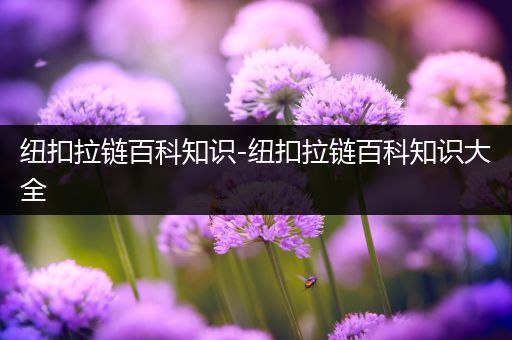 纽扣拉链百科知识-纽扣拉链百科知识大全