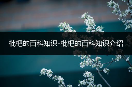 枇杷的百科知识-枇杷的百科知识介绍