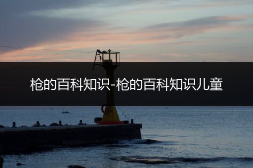 枪的百科知识-枪的百科知识儿童