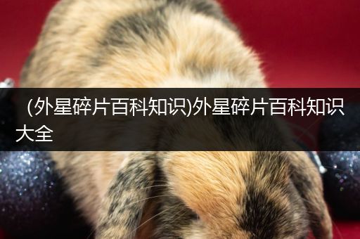 （外星碎片百科知识)外星碎片百科知识大全