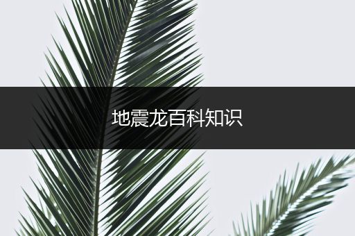 地震龙百科知识