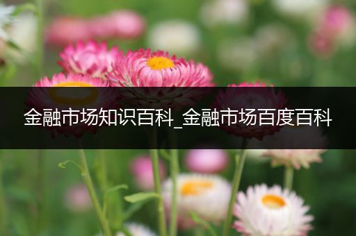 金融市场知识百科_金融市场百度百科