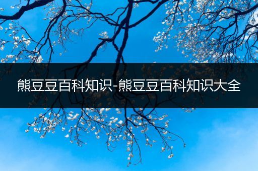 熊豆豆百科知识-熊豆豆百科知识大全