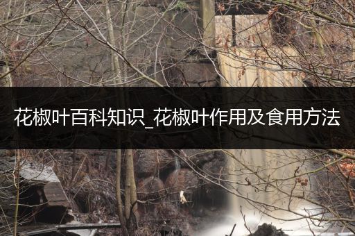 花椒叶百科知识_花椒叶作用及食用方法