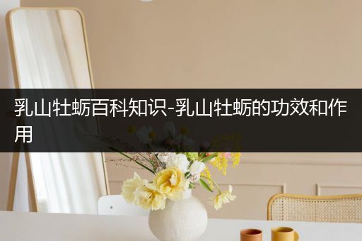 乳山牡蛎百科知识-乳山牡蛎的功效和作用
