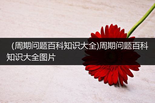 （周期问题百科知识大全)周期问题百科知识大全图片