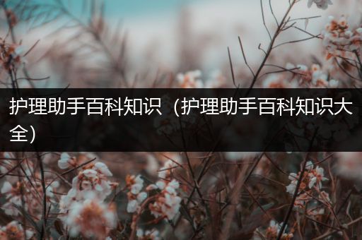 护理助手百科知识（护理助手百科知识大全）