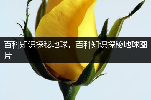 百科知识探秘地球，百科知识探秘地球图片
