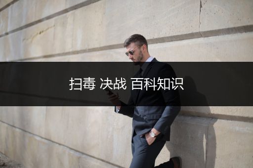 扫毒 决战 百科知识