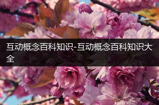 互动概念百科知识-互动概念百科知识大全