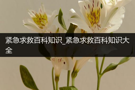 紧急求救百科知识_紧急求救百科知识大全
