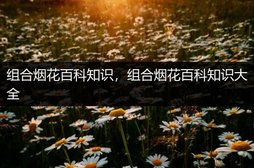 组合烟花百科知识，组合烟花百科知识大全