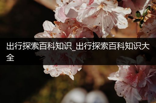 出行探索百科知识_出行探索百科知识大全