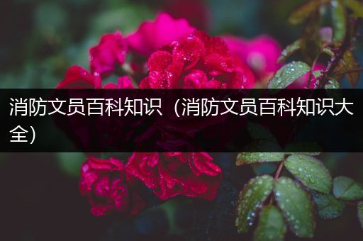 消防文员百科知识（消防文员百科知识大全）