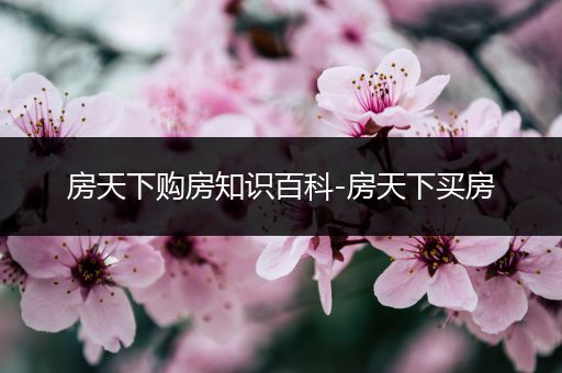 房天下购房知识百科-房天下买房