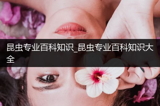 昆虫专业百科知识_昆虫专业百科知识大全