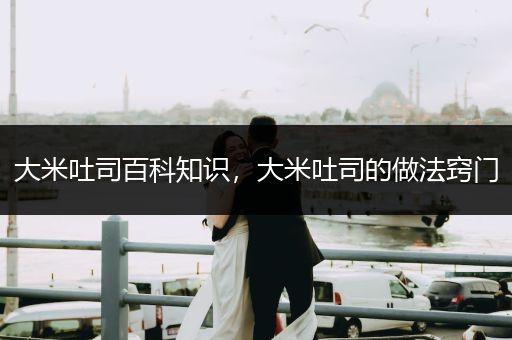 大米吐司百科知识，大米吐司的做法窍门