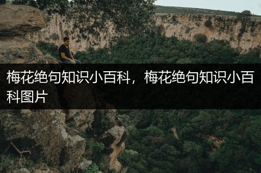 梅花绝句知识小百科，梅花绝句知识小百科图片