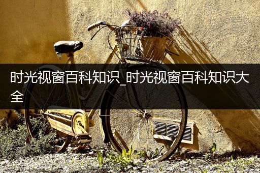 时光视窗百科知识_时光视窗百科知识大全