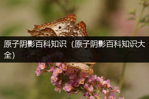 原子阴影百科知识（原子阴影百科知识大全）