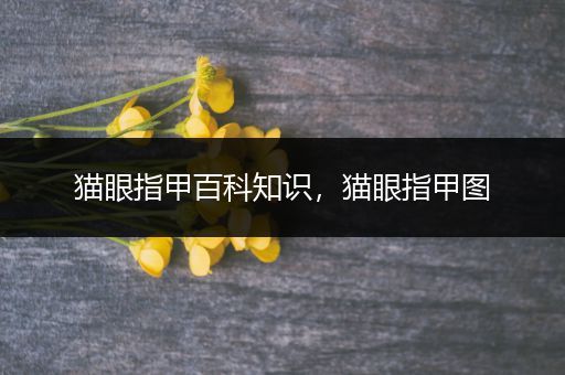 猫眼指甲百科知识，猫眼指甲图
